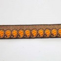 Galon indien brodé 20 mm Kasmiri