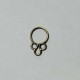 septum indien