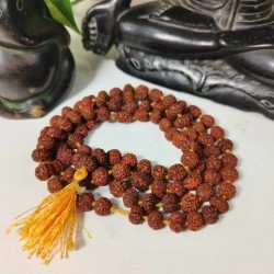 Chapelet Mala 108 Graines Rudraksha - petites