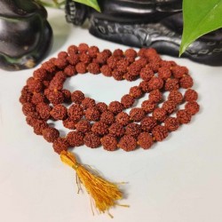 Chapelet Mala 108 Graines Rudraksha - moyenne