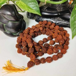 Chapelet Mala 108 Graines Rudraksha - grosse