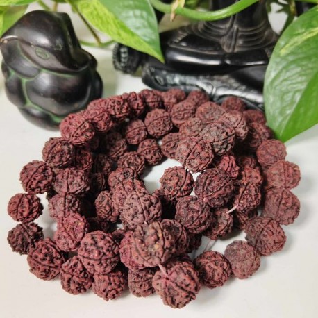 Chapelet Mala 108 Graines Rudraksha - XXL