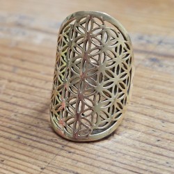 Bague Indienne Infini en métal doré