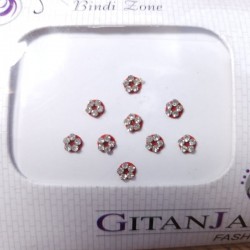 Bindis Indiens