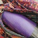 Sac de Yoga Indien avec Tapis Violet inclus