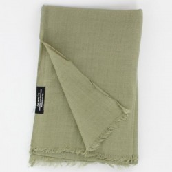 Châle - Echarpe Pashmina du Cachemire Vert